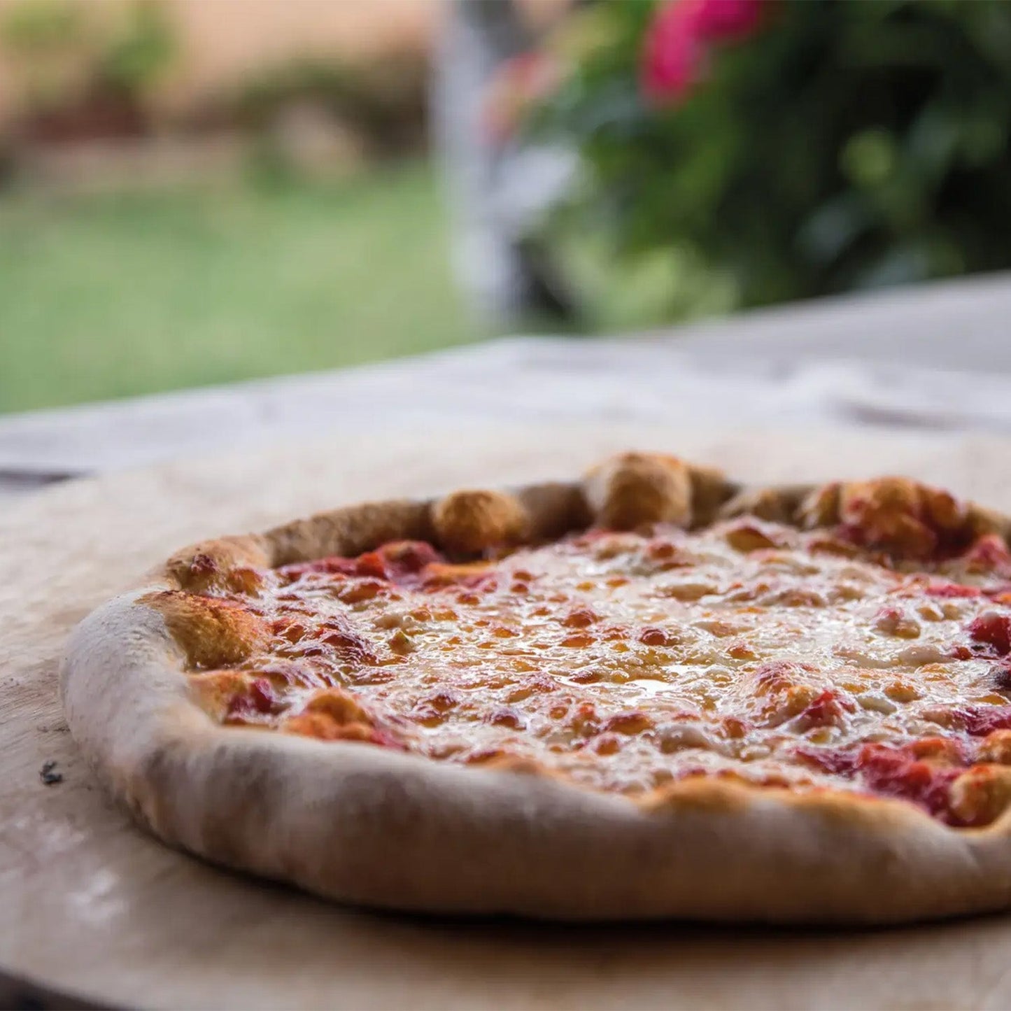 Fontana Maestro 60 Gas Countertop Pizza Oven