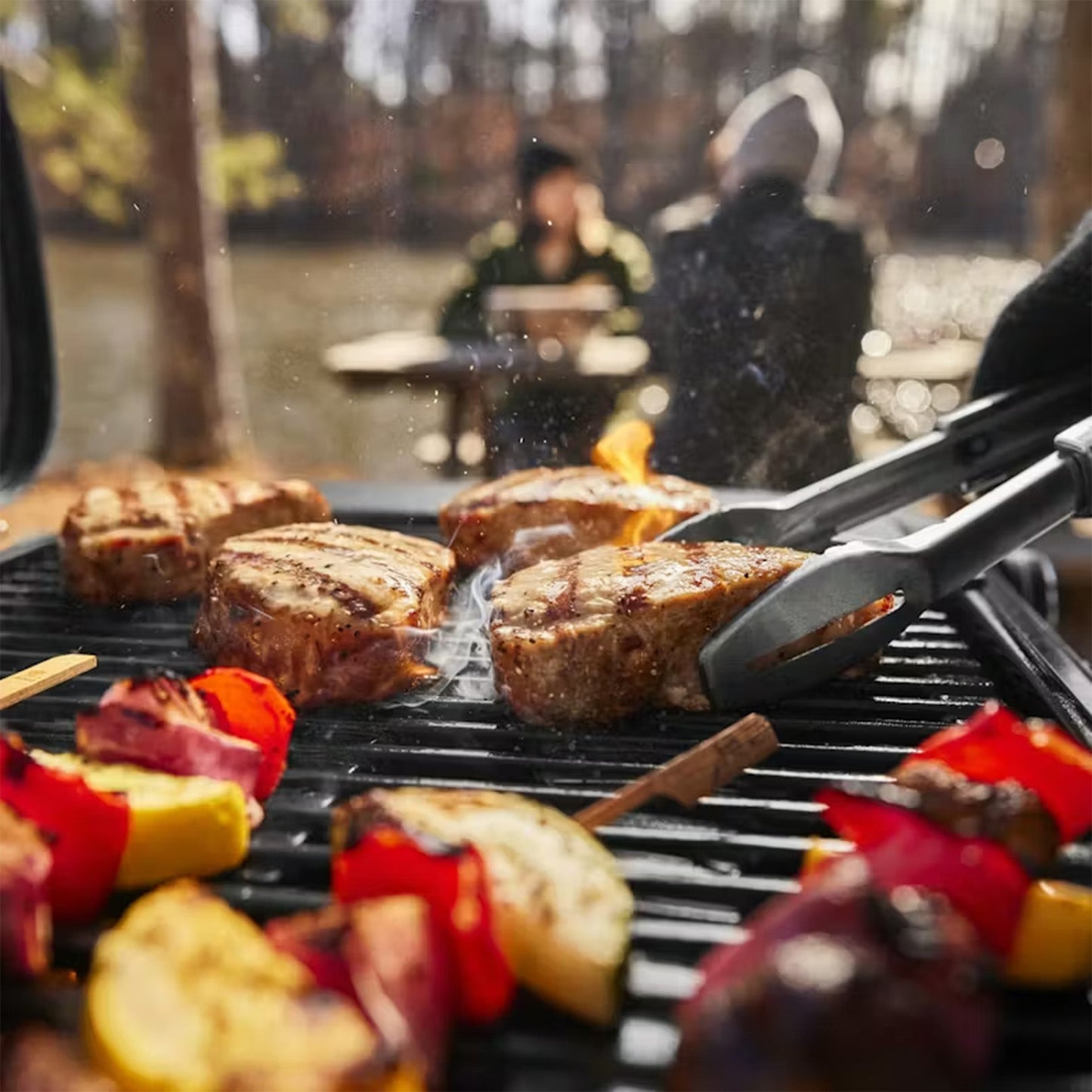 Weber Traveler Compact Portable Gas BBQ Grill (2026 Model)